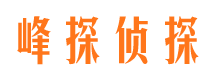 文水市调查公司